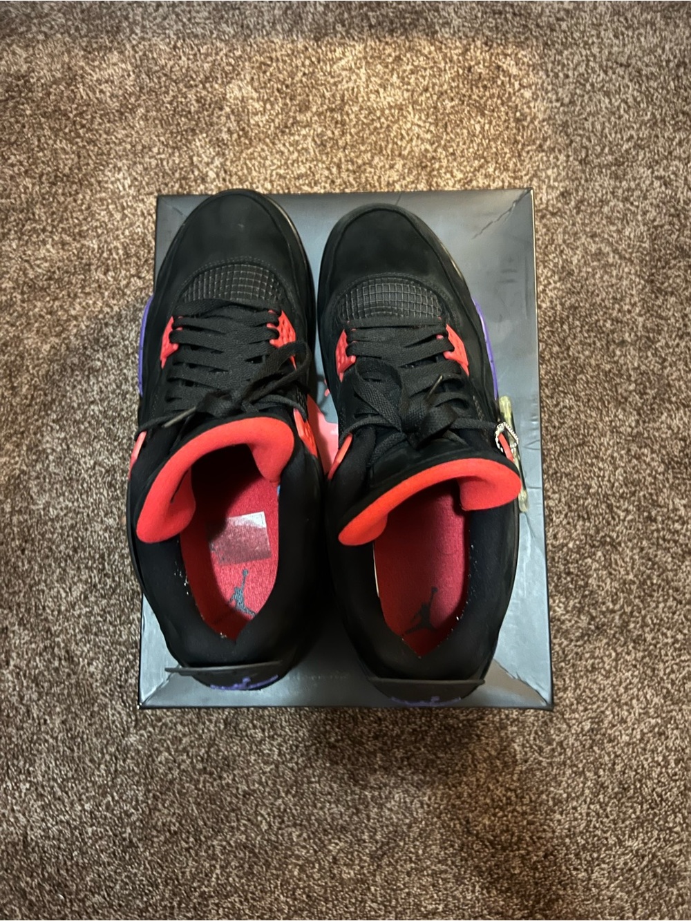 Jordan 4 Raptors - Picture 6 of 8